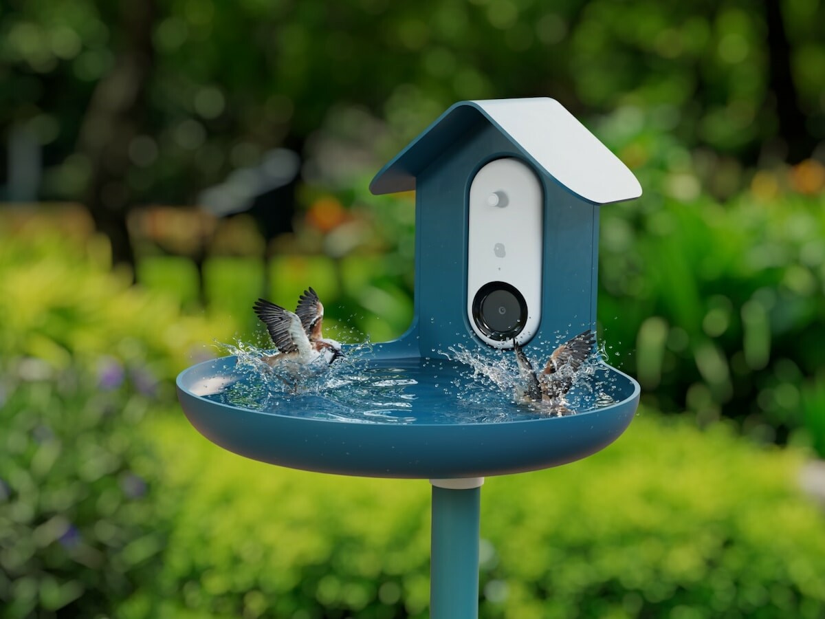 Bird Buddy AI Smart Bird Bath captures candid moments of your feathered friends splashing