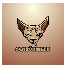 Schrodinger, The New Memecoin Sensation Based On A Unique Quantum Cat, Announces Successful Launch